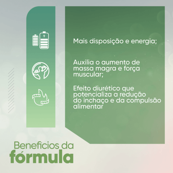 SUPLEMENTO AUXILIAR NO EMAGRECIMENTO - Image 2