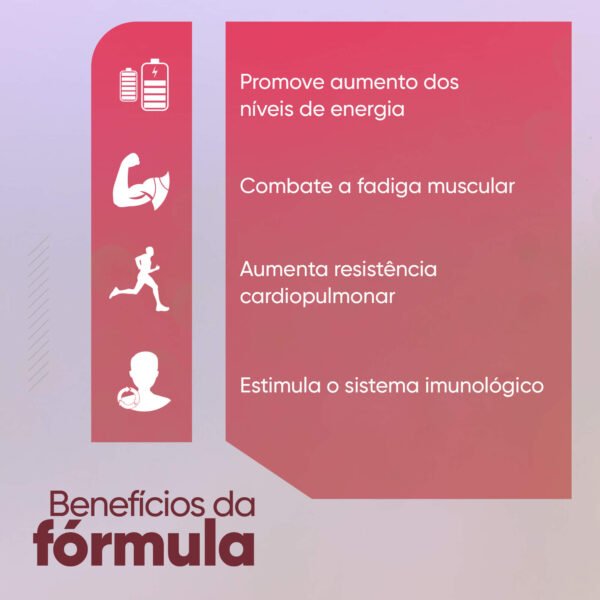 PRÉ-TREINO TERMOGÊNICO - Image 2