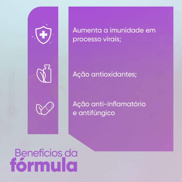 SUPLEMENTO IMUNOMODULADOR - Image 2